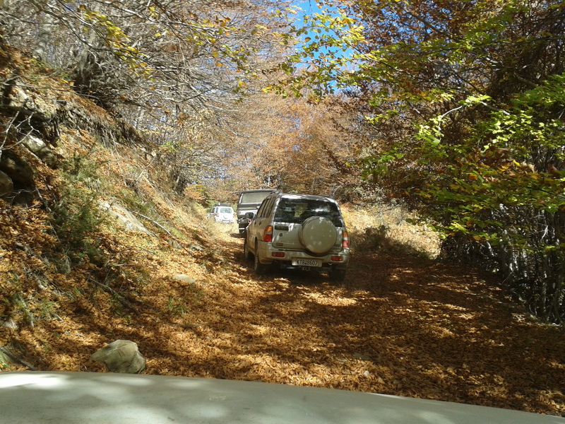 20131103_115341small.jpg