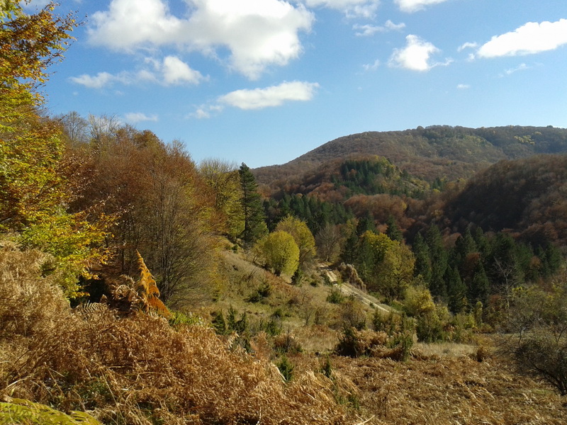 20131103_115332small.jpg