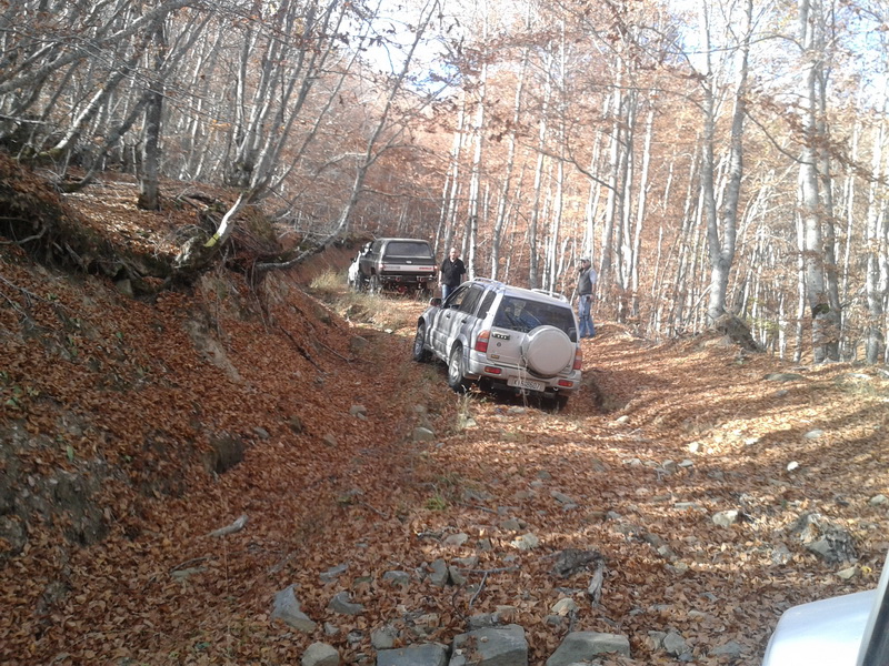 20131103_115834small.jpg