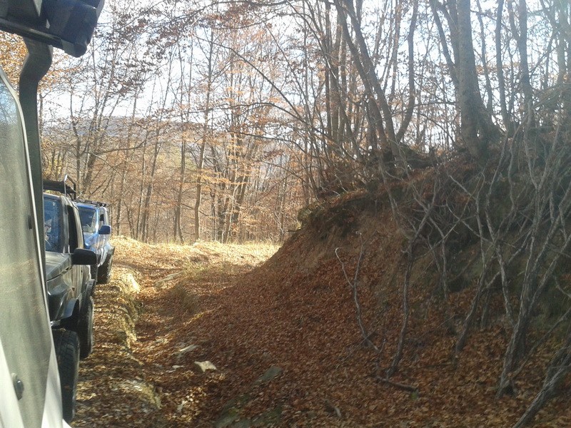 20131103_115840small.jpg