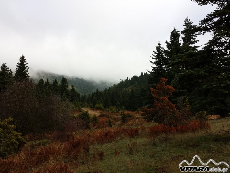 20131117_093945 (Οιτη 16-17.11.13).jpg