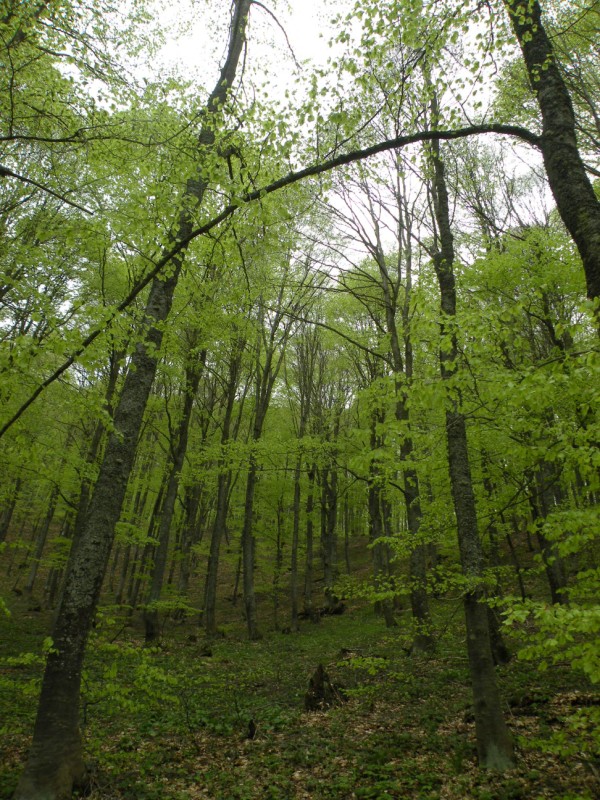 DSCN2997.jpg