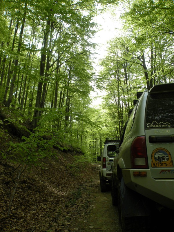 DSCN3028.jpg