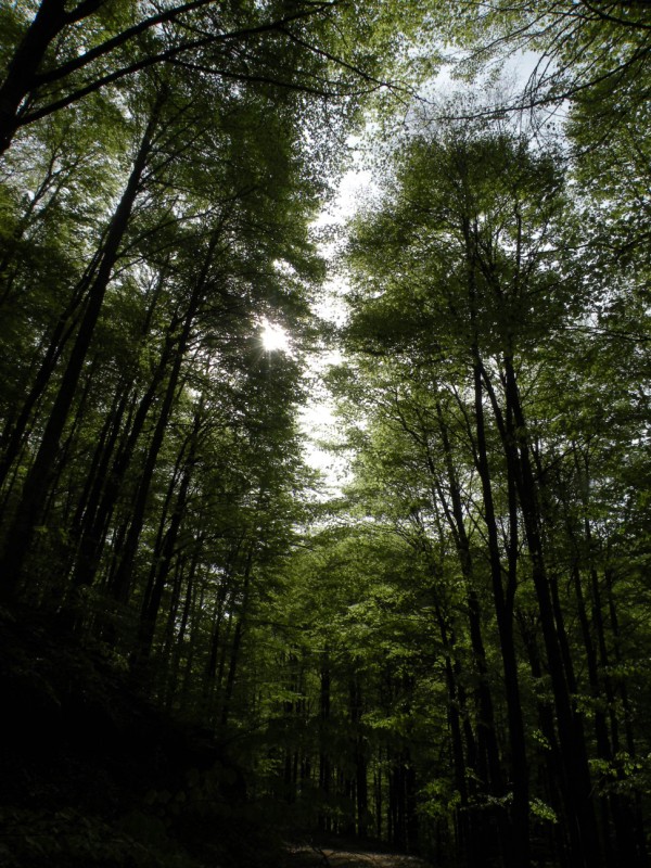 DSCN3029.jpg