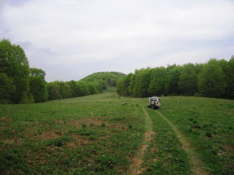 IMG_8519.jpg