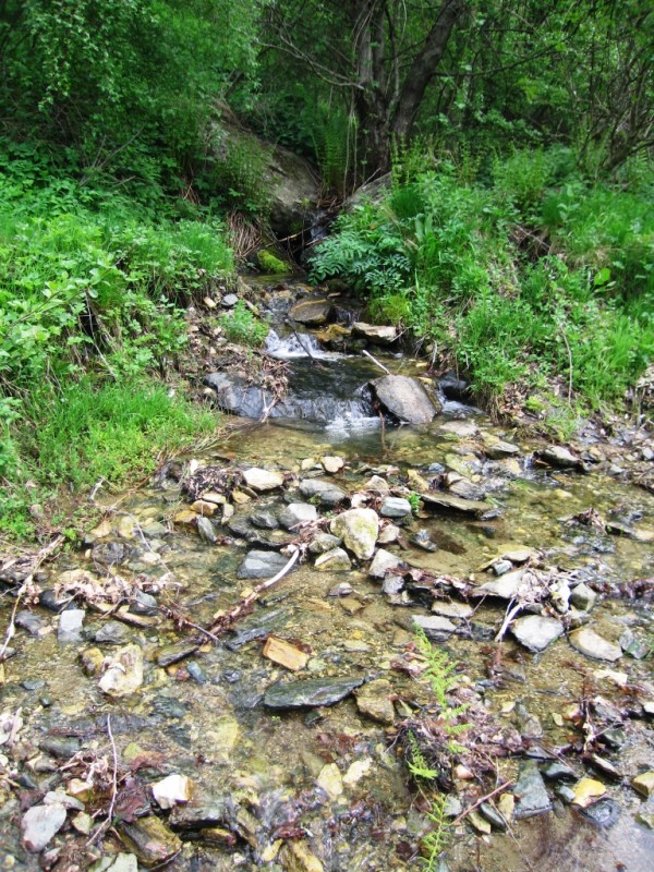 IMG_8536.jpg
