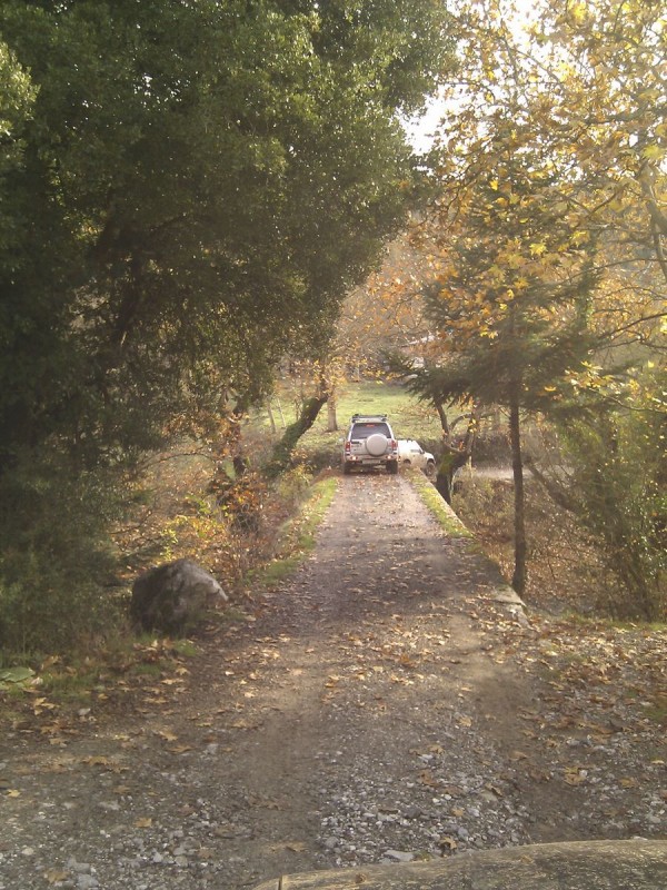 IMG_20131117_111623-qpr.jpg