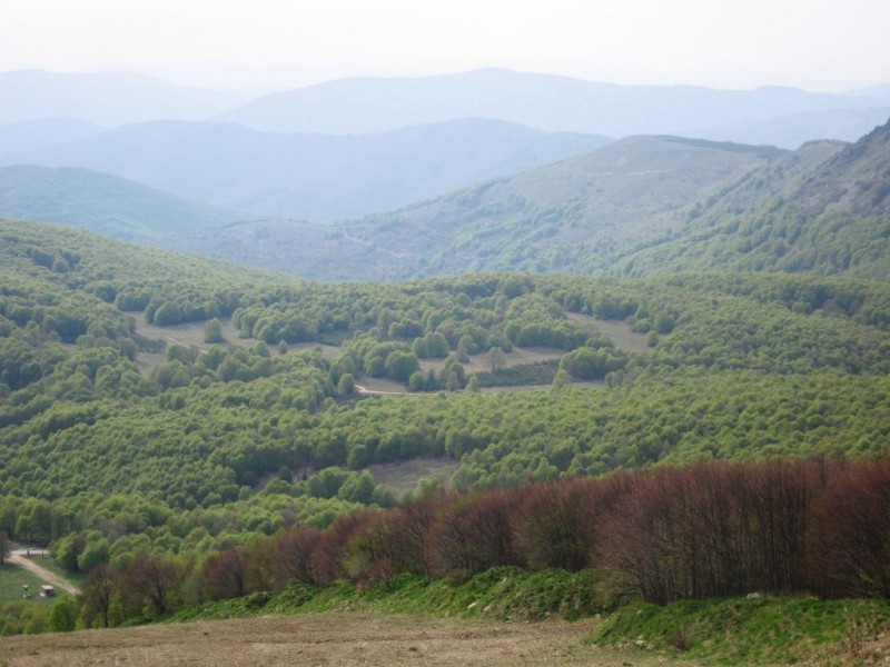 IMG_8578.jpg