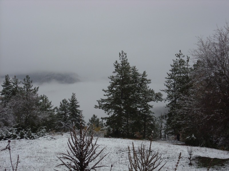 DSCN4676.JPG