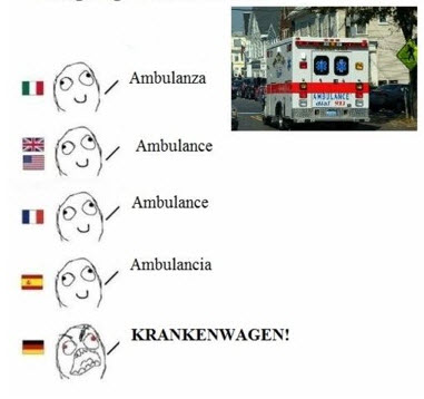 g7.jpg