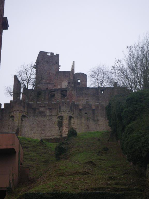 w02_576x768.jpg