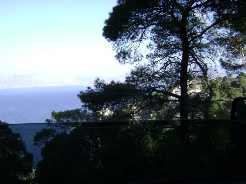 DSC02267.jpg