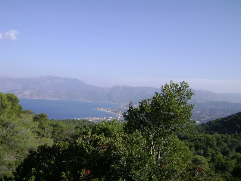 DSC02279.jpg