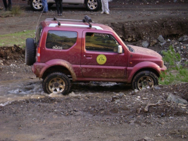DSC02342.jpg
