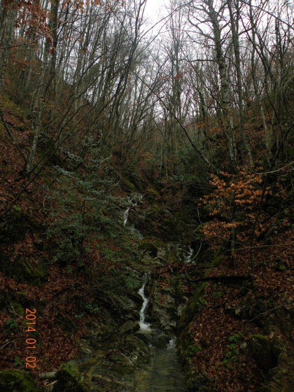 DSCN9023v.jpg