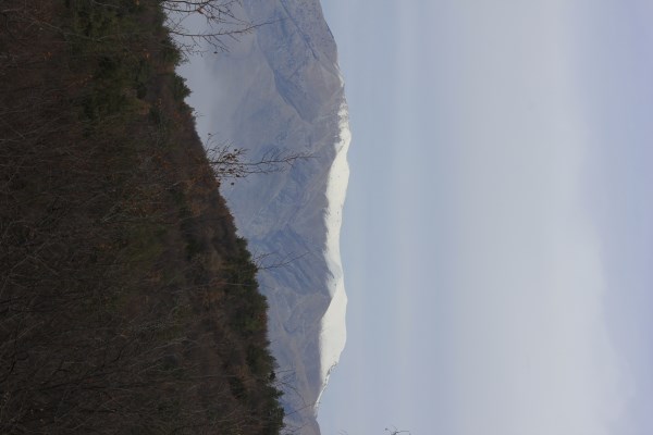_MG_3913.jpg