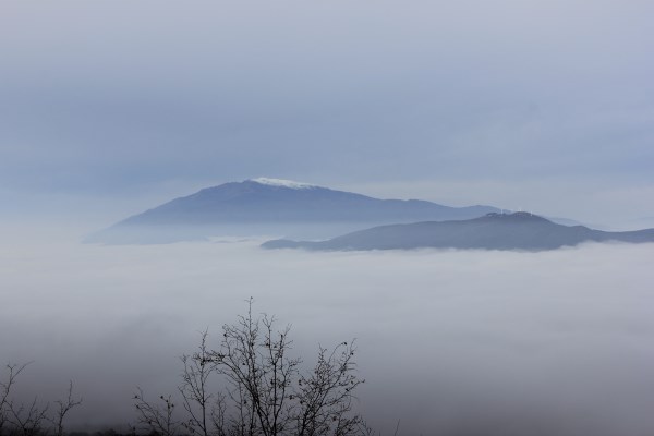 _MG_3914.jpg
