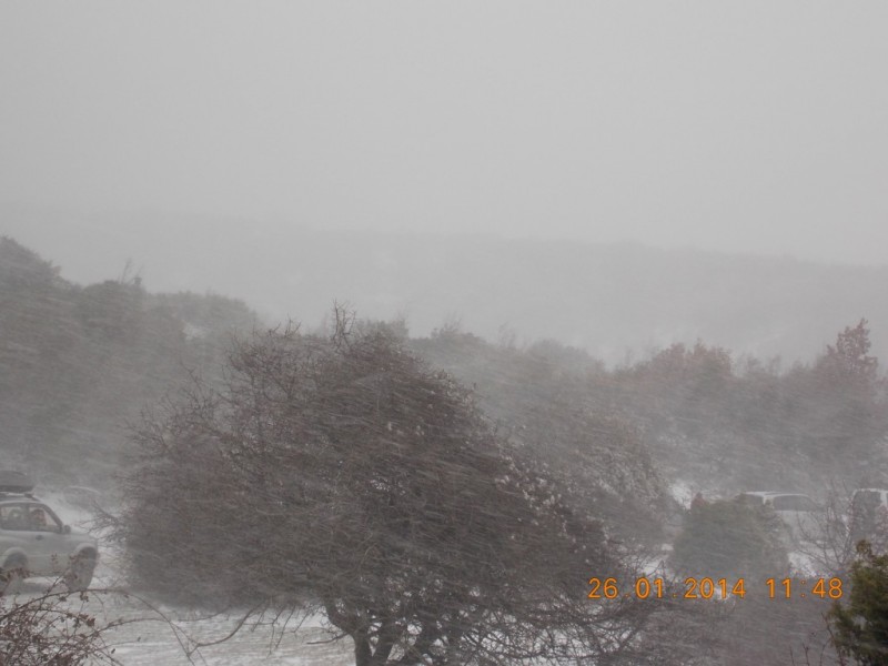 DSCN7105.jpg