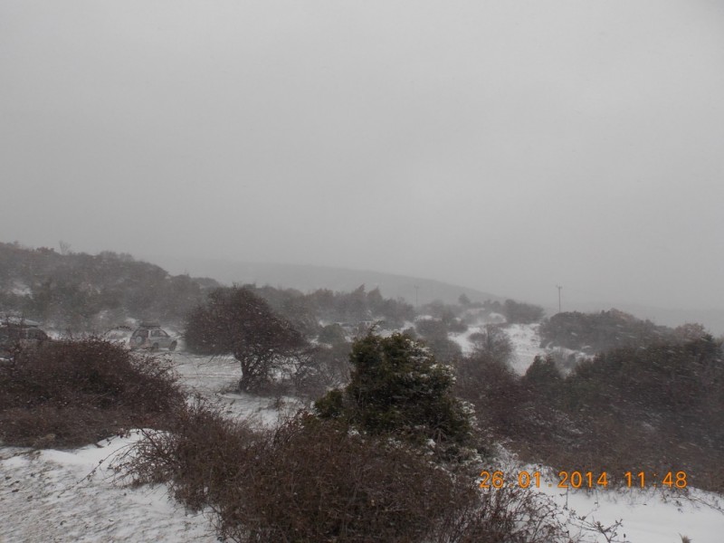 DSCN7104.jpg