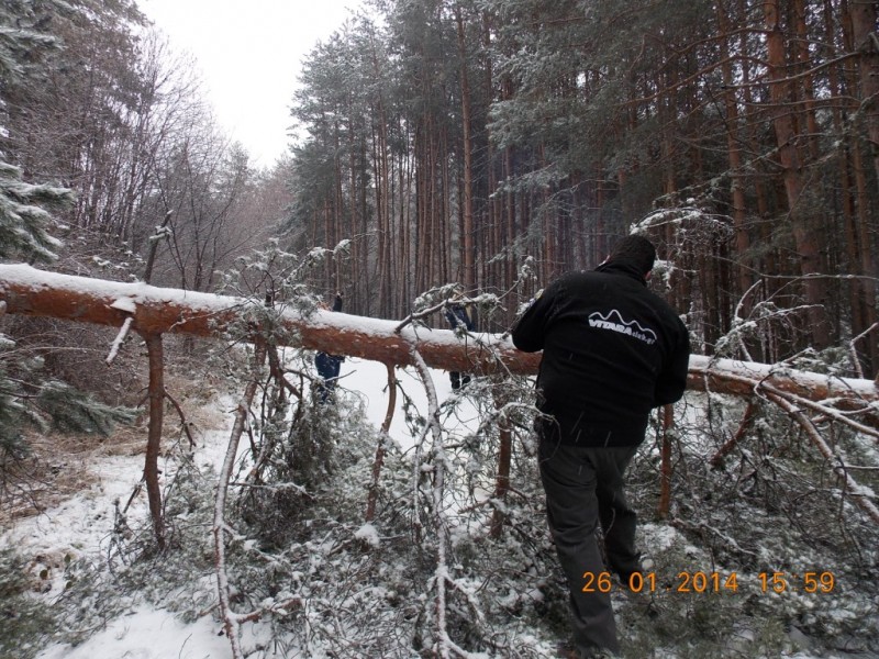 DSCN7199.jpg
