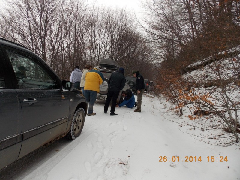 DSCN7190.jpg