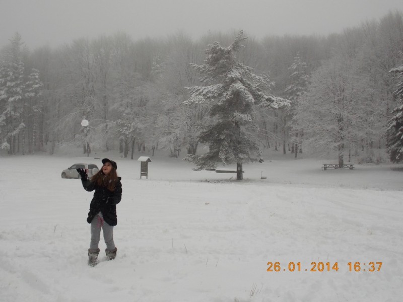 DSCN7227.jpg