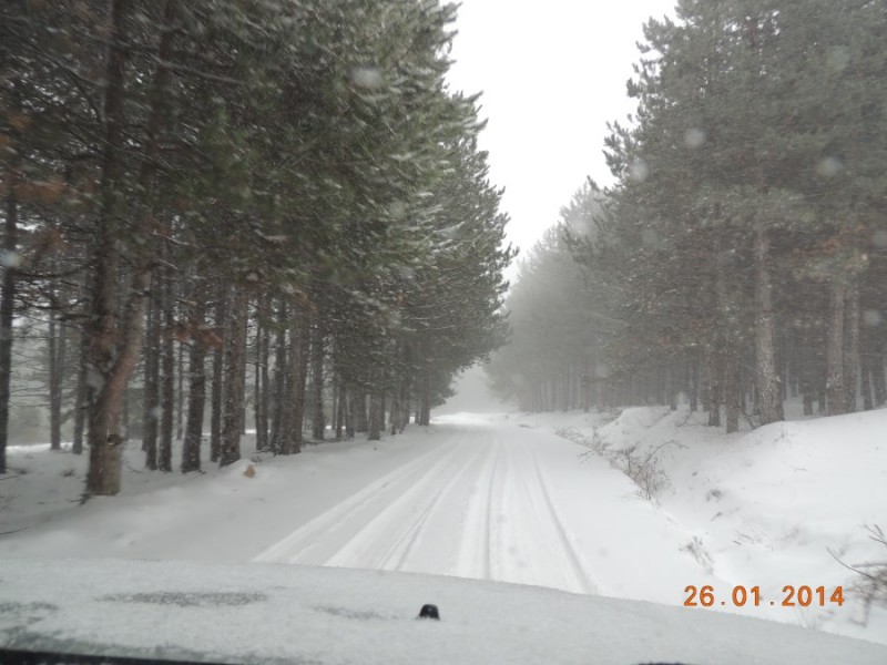 DSCN2262.jpg