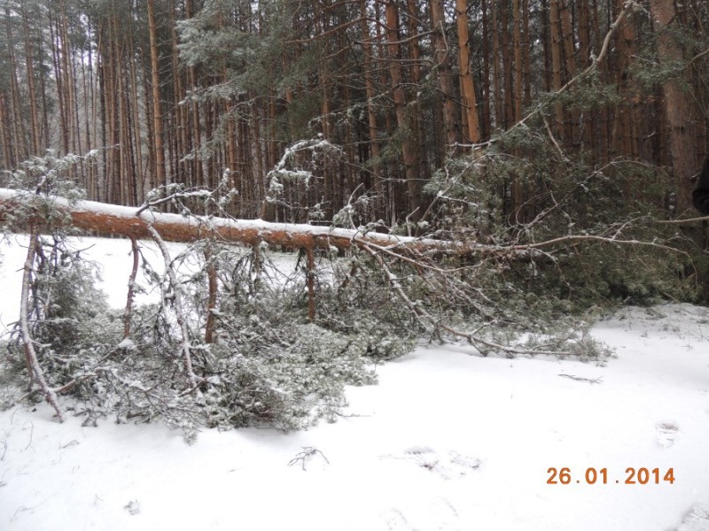 DSCN2294.jpg
