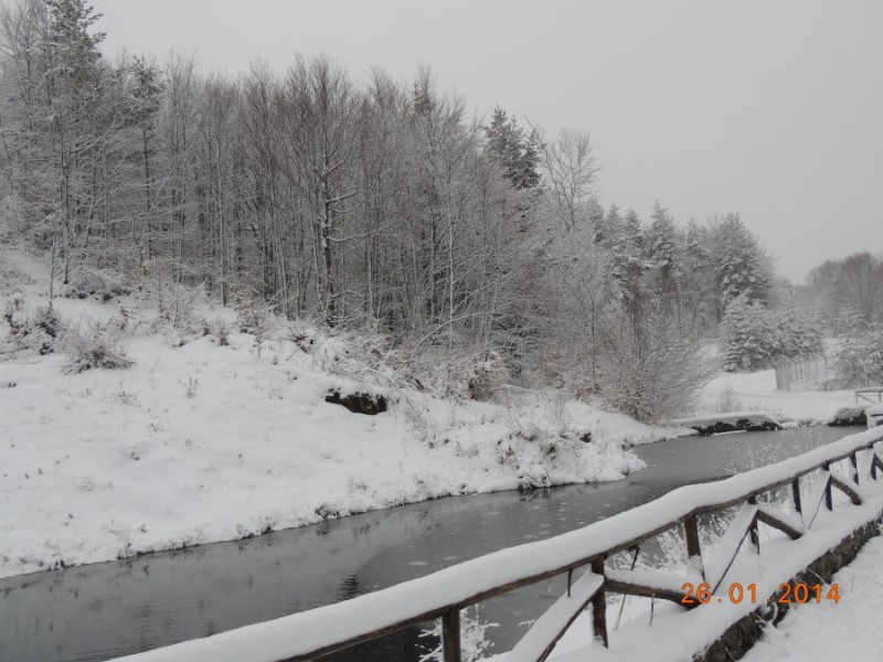 DSCN2338.jpg