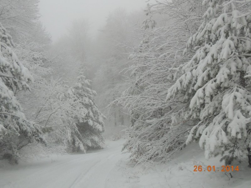 DSCN2352.jpg