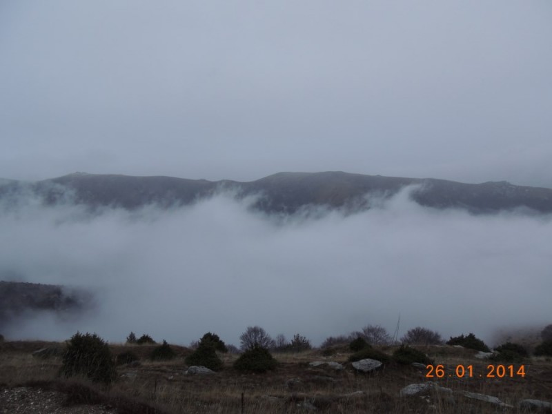 DSCN2390.jpg