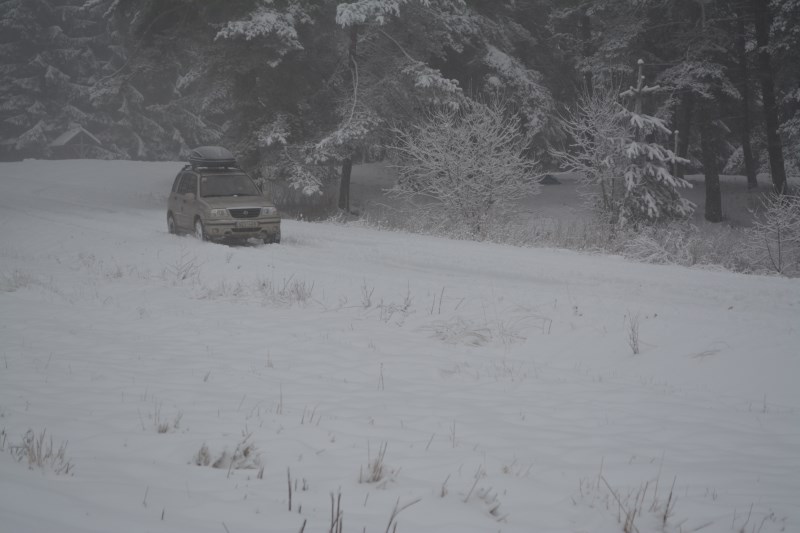 DSC_0204.jpg