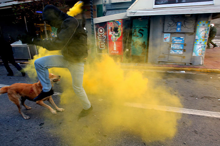 Athen_Demonstrationshund_9.jpg