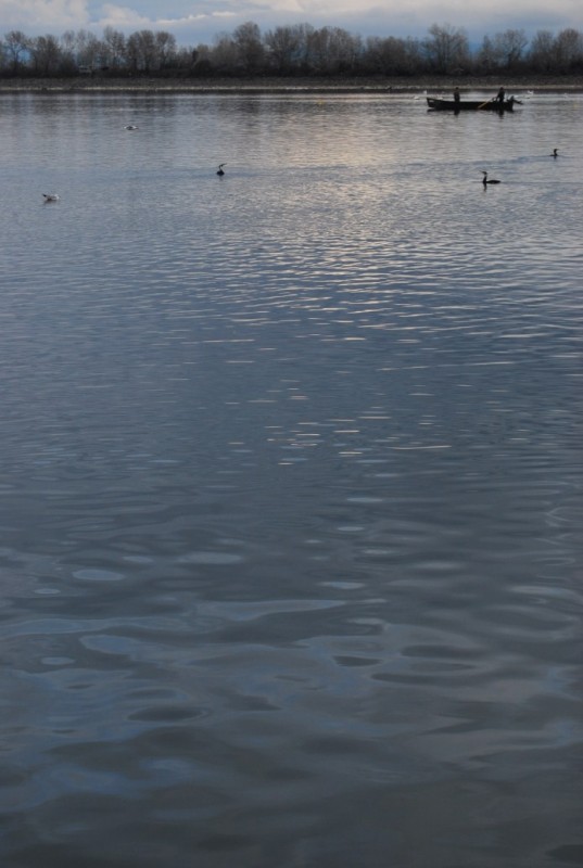 DSC_0001.jpg