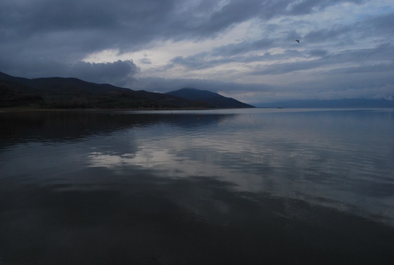 DSC_0015.jpg