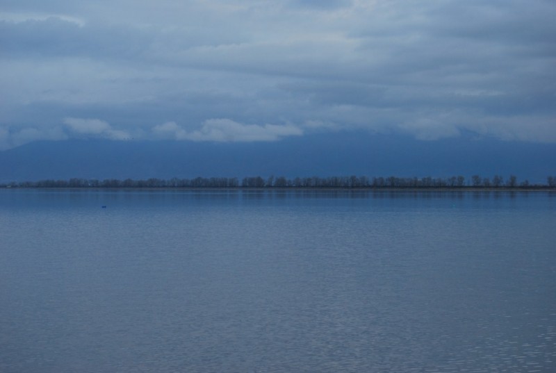 DSC_0021.jpg