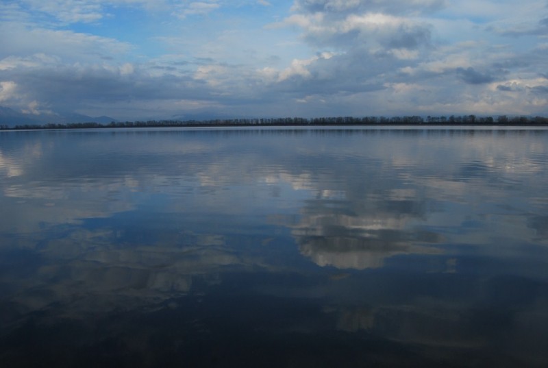 DSC_0080.jpg