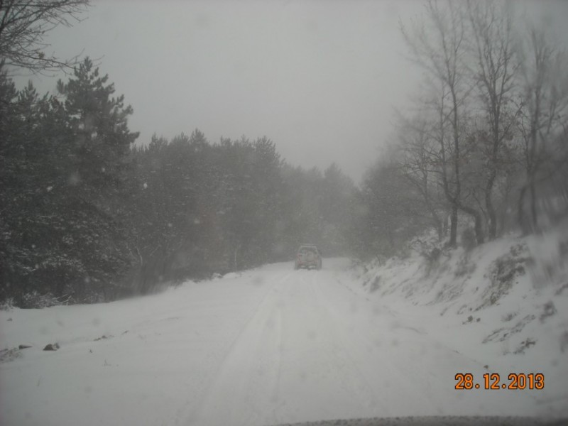 DSCN4732.jpg
