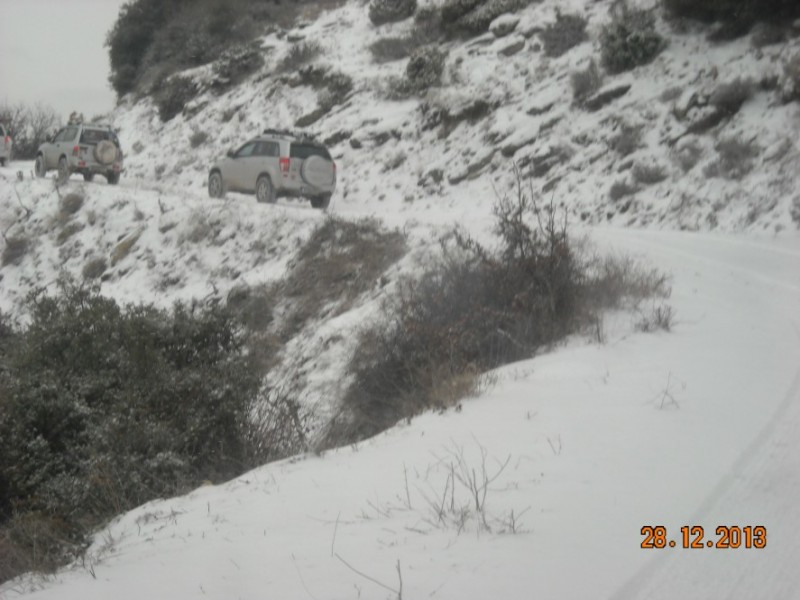 DSCN4737.jpg
