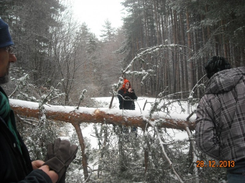 DSCN4744.jpg