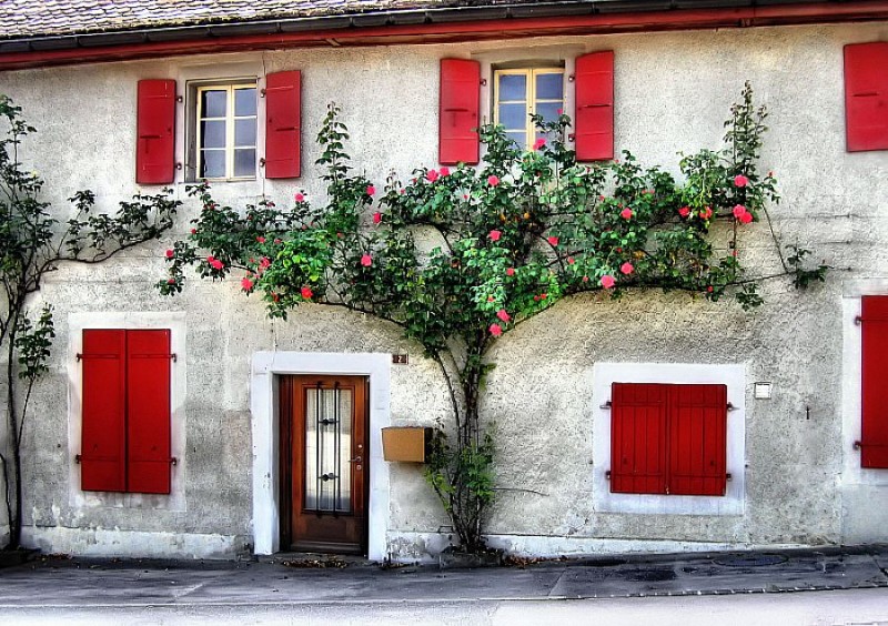 Switzerland 18.jpg