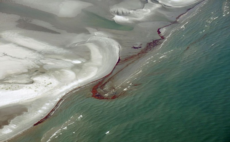 oil disaster 10-qpr.jpg