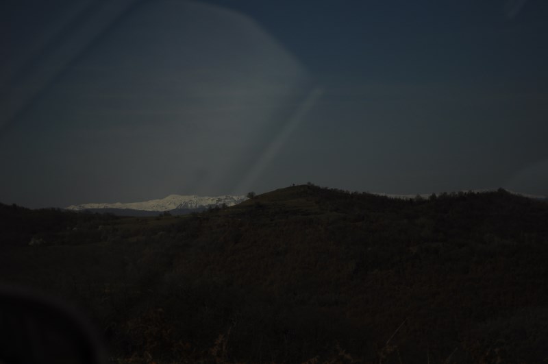 DSC_0100.jpg