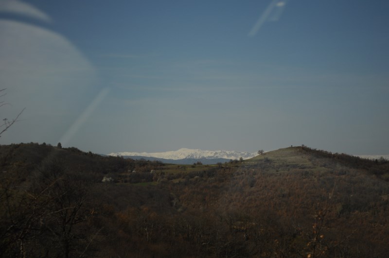 DSC_0101.jpg