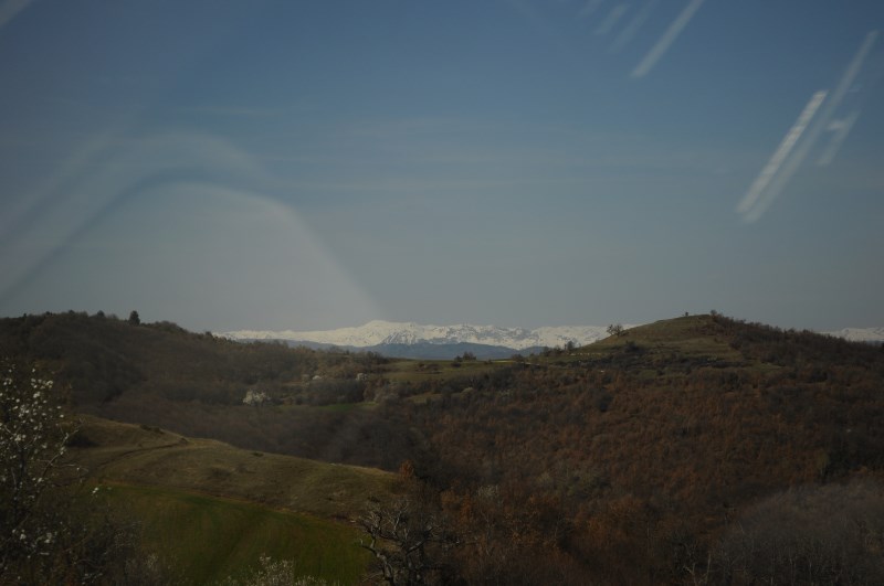 DSC_0102.jpg