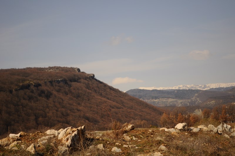 DSC_0128.jpg