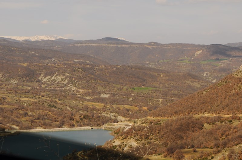 DSC_0129.jpg