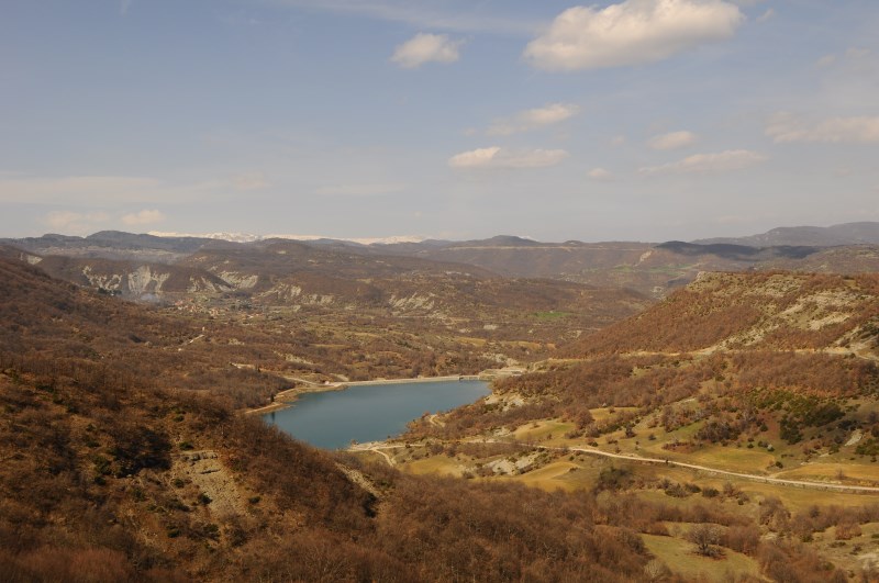 DSC_0131.jpg