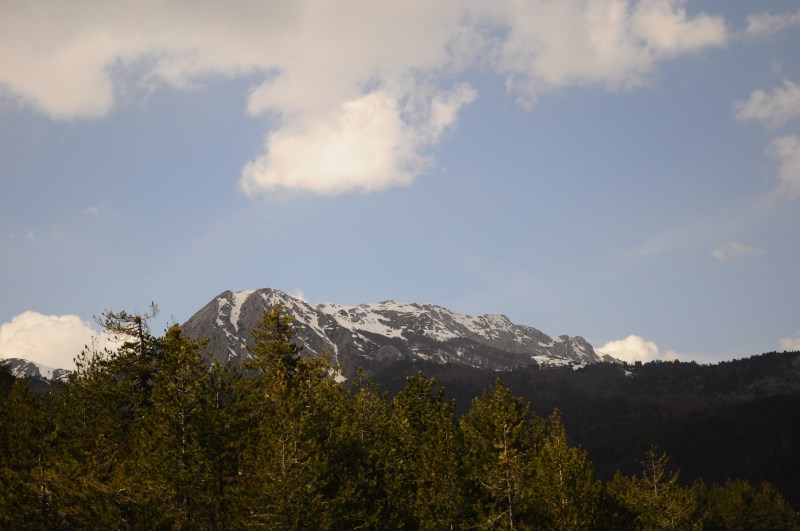 DSC_0215.jpg