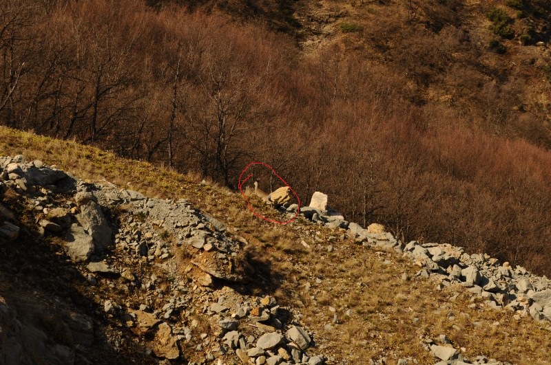 DSC_0133 - Αντίγραφο.jpg